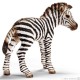 Schleich Dzikie Życie Afryka Zebra Źrebię 14393 - zdjęcie nr 1