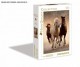 Clementoni Puzzle High Quality Collection Running Horses 1000 Elementów 39168 - zdjęcie nr 1