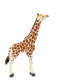 Trefl Animal Planet Figurka Młoda Żyrafa 7007 - zdjęcie nr 1