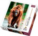 Trefl Puzzle Nature Orangutan 1000 Elementów 10514 - zdjęcie nr 1