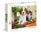 Clementoni Puzzle High Quality Collection The dog and the cat 1000 Elementów 39270 - zdjęcie nr 1