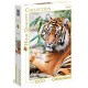 Clementoni Puzzle High Quality Collection Sumatran Tiger 1000 Elementów 39295 - zdjęcie nr 1