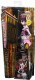 Mattel monster High Straszyciółki w Boo Yorku Draculaura CHW57 CHW55 - zdjęcie nr 8