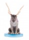 Epee Kraina Lodu Frozen Figurka w kapsule EP02223 - zdjęcie nr 8