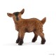Schleich Młoda koza SLH13829 - zdjęcie nr 1