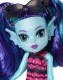 Mattel Monster High Rodzina Upiorków Ebbie Blue FCV65 FCV67 - zdjęcie nr 4