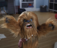 Hasbro Star Wars Chewie Interaktywny E0584 - zdjęcie nr 3
