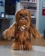 Hasbro Star Wars Chewie Interaktywny E0584 - zdjęcie nr 2