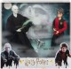 Mattel Harry Potter i Voldemort figurki zestaw GNR38 - zdjęcie nr 7