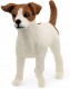 SLH 13916 Jack Russell Terrier - zdjęcie nr 1