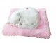Śpiący Kotek na Poduszce Jak Żywy Biały - zdjęcie nr 1