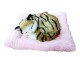 Śpiący Kotek na Poduszce Jak Żywy Brązowy - zdjęcie nr 1