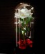 Wieczna Róża w Szkle Walentynki Biała - zdjęcie nr 2