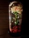 Wieczna Róża w Szkle Walentynki Herbaciana - zdjęcie nr 2