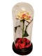 Wieczna Róża w Szkle Walentynki Herbaciana - zdjęcie nr 4