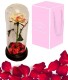 Wieczna Róża w Szkle Walentynki Herbaciana - zdjęcie nr 1
