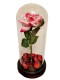 Wieczna Róża w Szkle Walentynki Różowa - zdjęcie nr 4