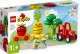 Lego DUPLO 10982 Traktor z warzywami i owocami 10982 - zdjęcie nr 1