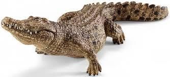 Schleich Dzikie Życie Afryka Azja Centralna Ameryka Krokodyl 14736