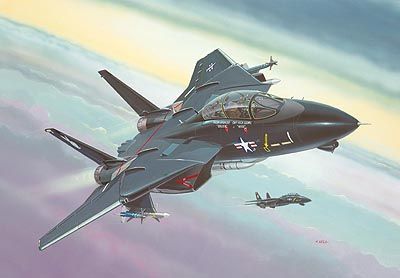 REVELL F-14A "Black Tomcat" 04029