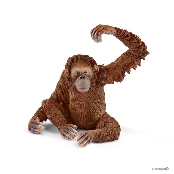 Schleich Orangutan samica SLH14775