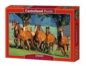 Castorland Puzzle Quarter Horses Stado Koni 1500 el. 150748