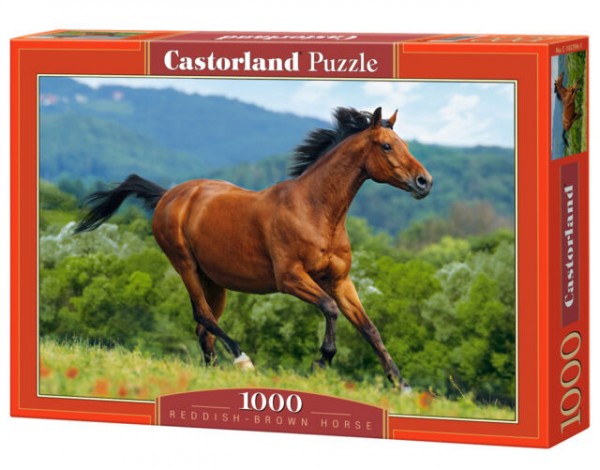 Castorland Puzzle Reddish Brown Horse Brązowy Koń 1000 el. 102396
