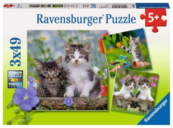 Ravensburger Puzzle Kotki 3X49 080465