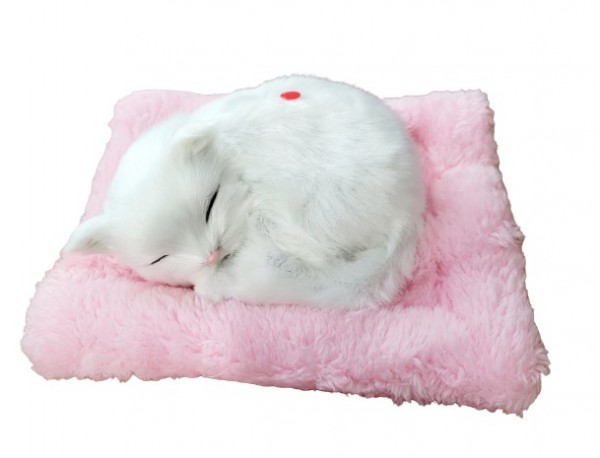 Śpiący Kotek na Poduszce Jak Żywy Biały