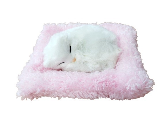 Śpiący Kotek na Poduszce Jak Żywy Mały Biały
