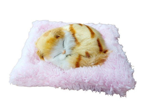Śpiący Kotek na Poduszce Jak Żywy Mały Rudy