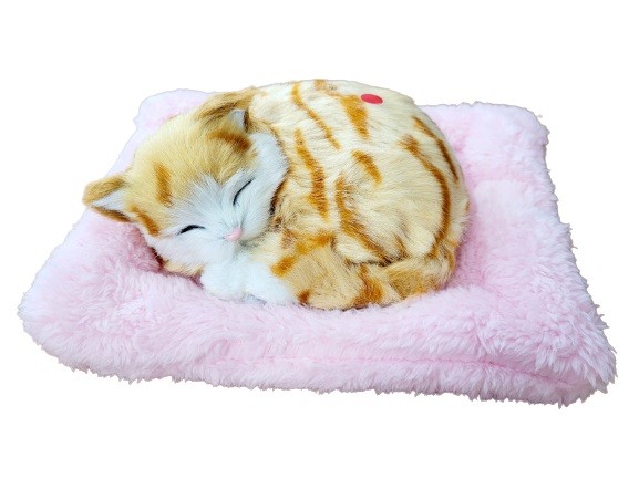 Śpiący Kotek na Poduszce Jak Żywy Rudy
